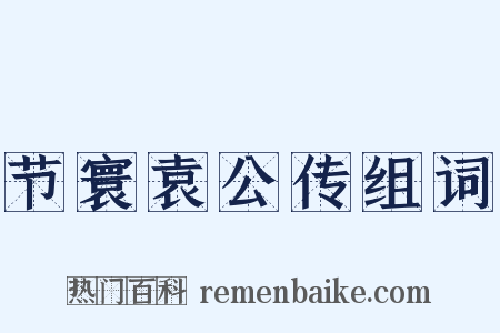 节寰袁公传组词是什么意思的图片